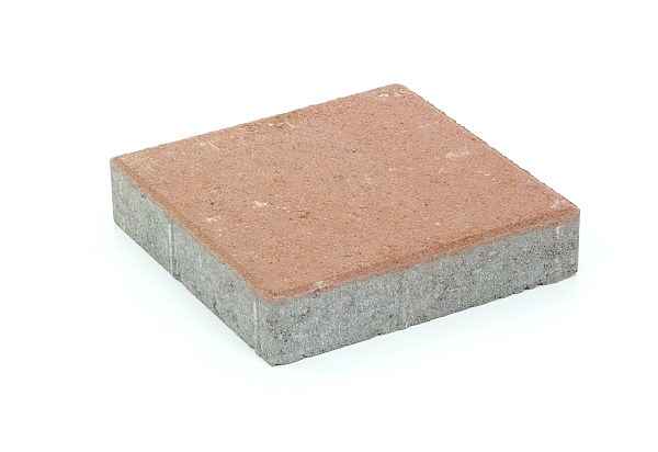 Kartanolaatta 60