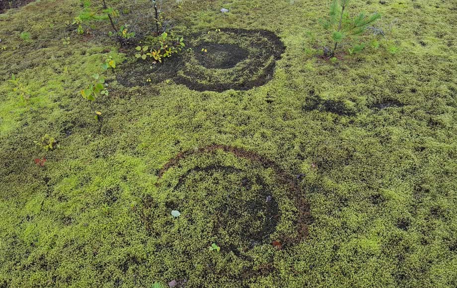 Hyvinkään suomies soramontusta luontonähtävyydeksi 2