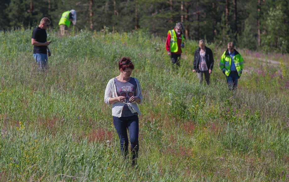 Muita lumokohteita joutteen niitty ihmiset