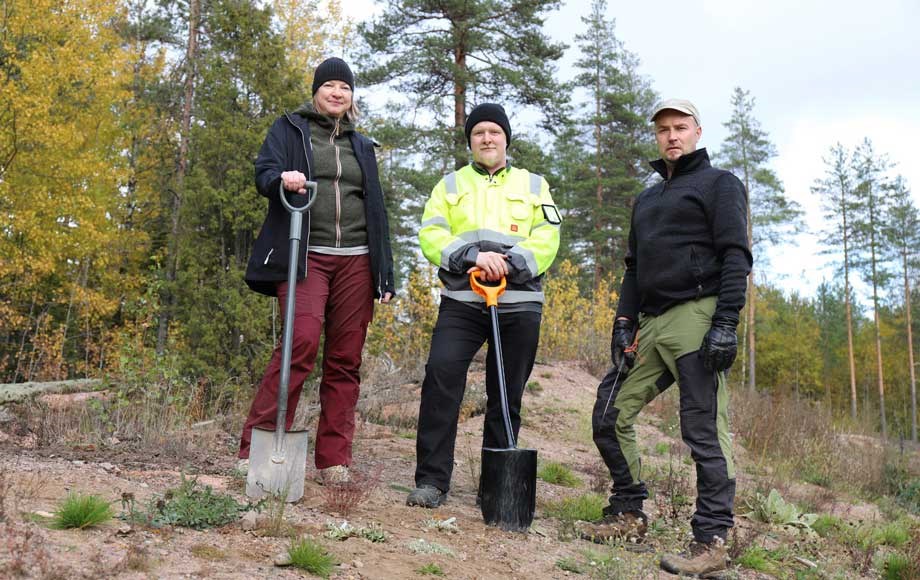 Ekosysteemihotelli vuorimunkit ja kissankäpälät siirto tekijät