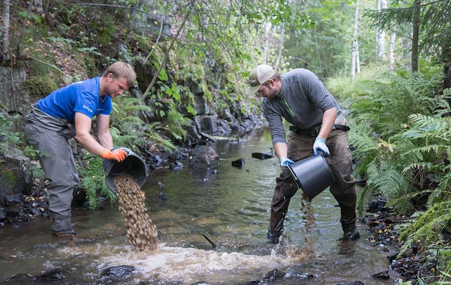 Virtavesien kunnostukset virtavesitalkootmyllypuroylöjärvi 1 9 2018 9