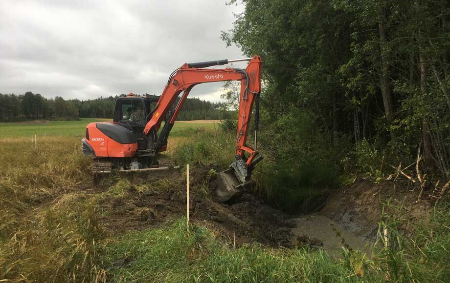 Wwf ja rudus römossebäcken 2