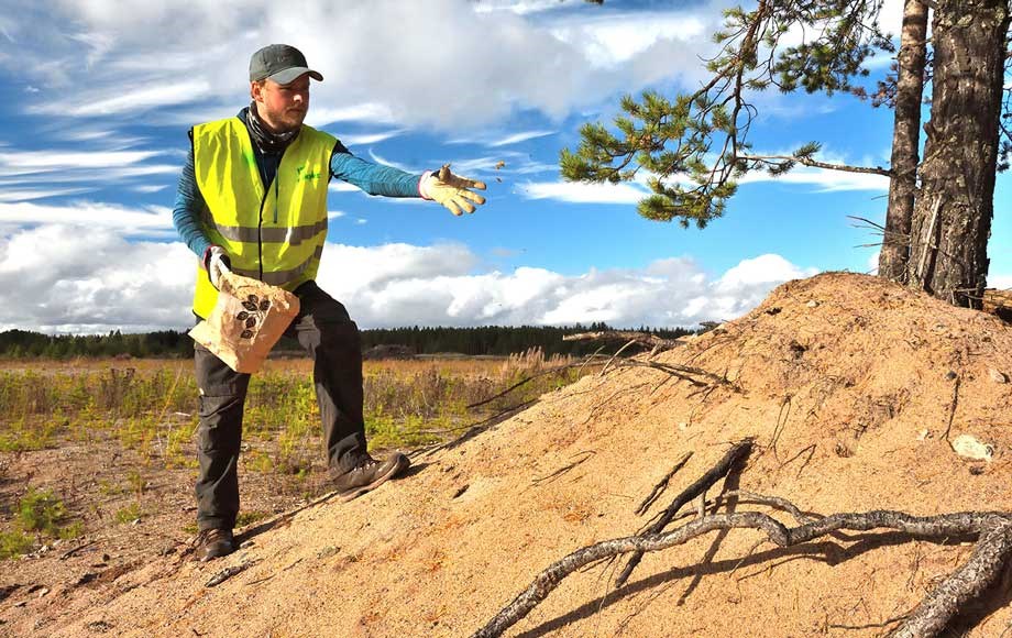 Rudus oulunsalo kylvöt 1