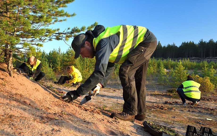 Rudus oulunsalo kylvöt taimien istutus 2