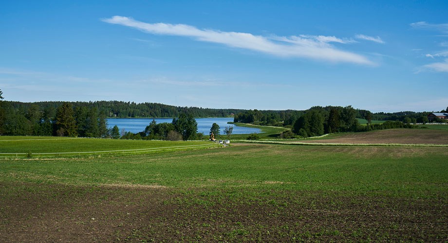 Rudus wwf karhujärven kosteikko 9967