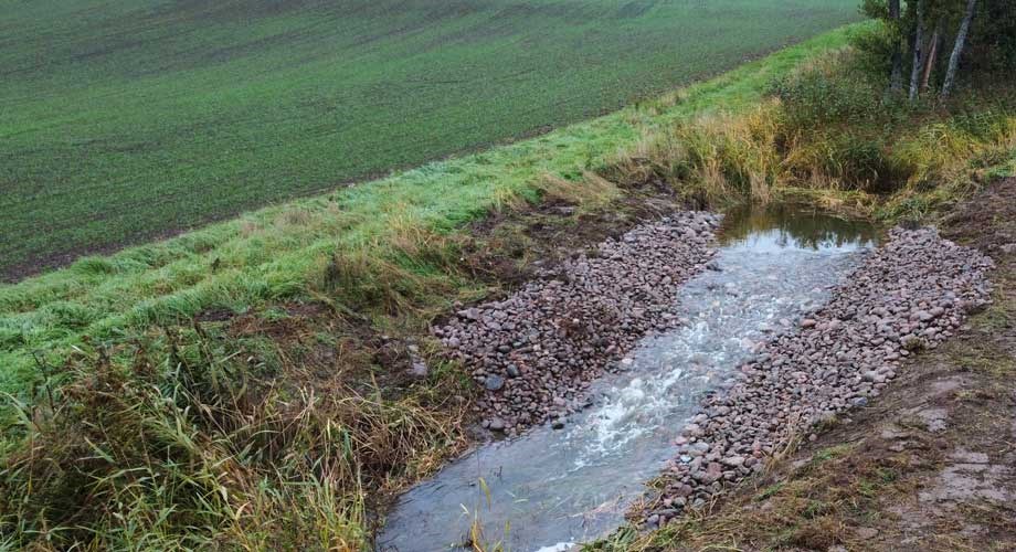 Rudus   wwf västankvarn1