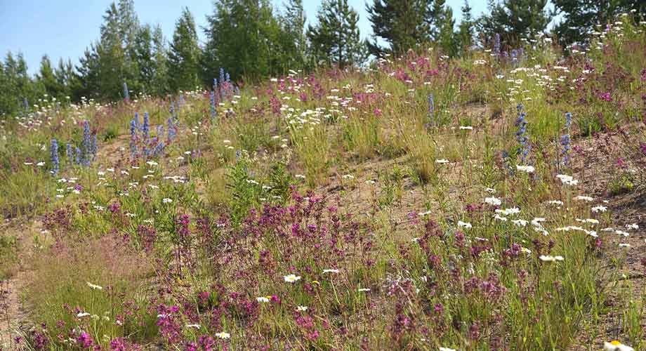 Rudus sidosryhmävierailu norossa  jere nieminen