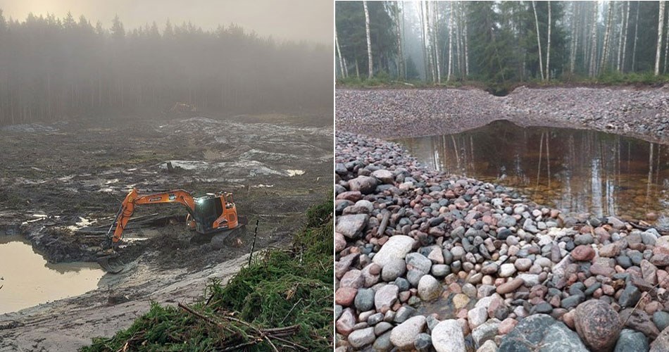 Rudus wwf kyttan metsäkosteikko 950x500