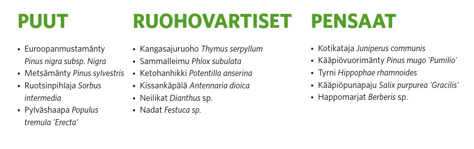 Veden polku 1 kuivan kasvualustan kasvit läpäisevien pintojen yh