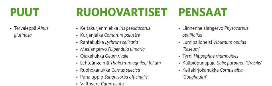 Veden polku 2 kuivuutta ja hukutusta kestävät kasvit imeytysalta