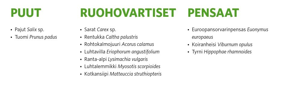 Veden polku 4 kosteikkokasvit viivytysaltaiden ja  painanteiden