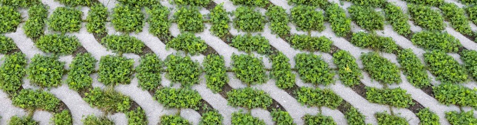 Veden polku riimukivi 950x250